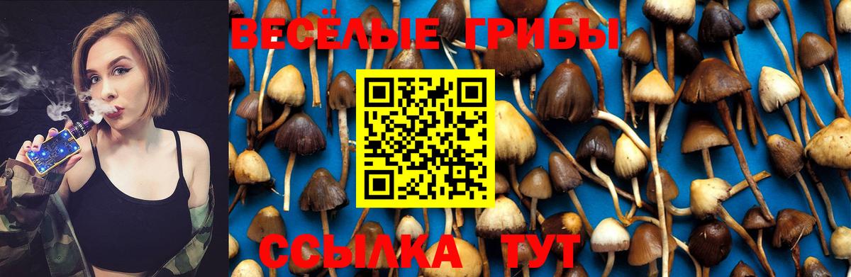 Псилоцибиновые грибы Cubensis  Псилоцибиновые грибы Psilocybe  Белебей  что такое   Вход с VPN 